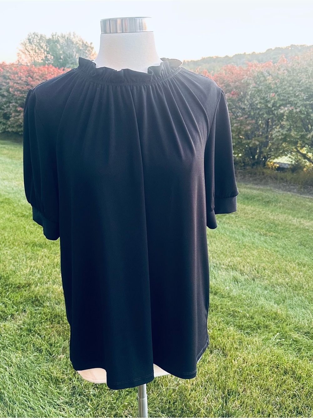 Adrianna Papell Black Ruffle Neck Short Sleeve Blouse